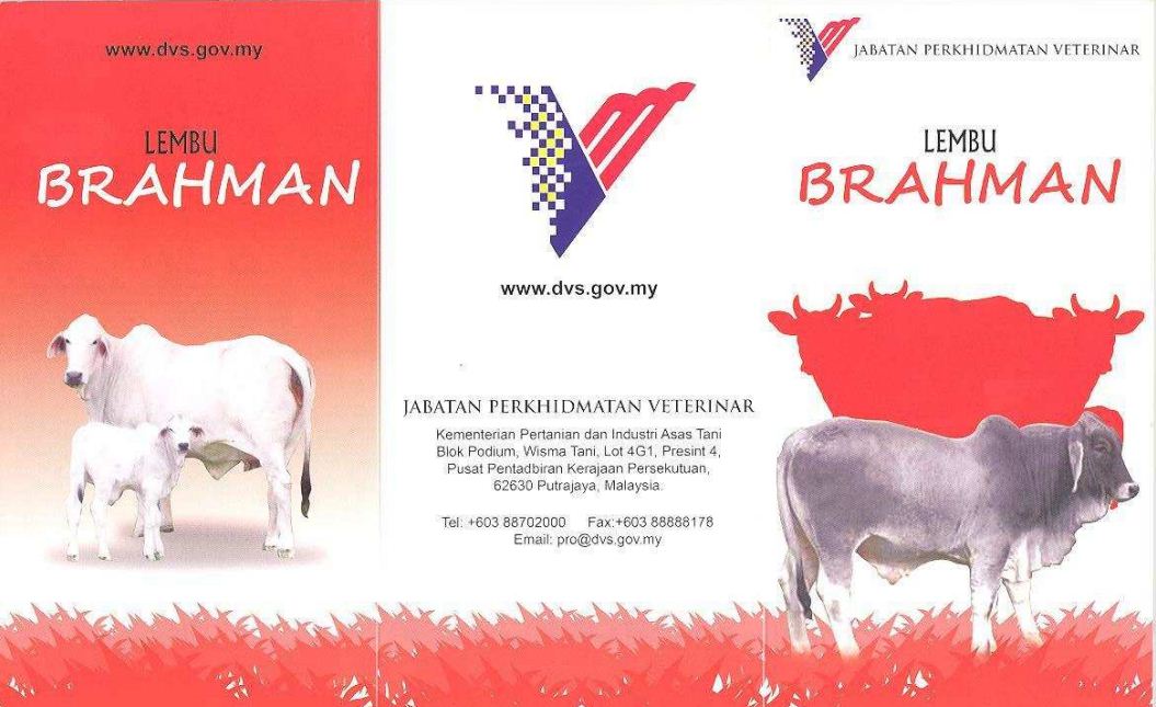 baka lembu